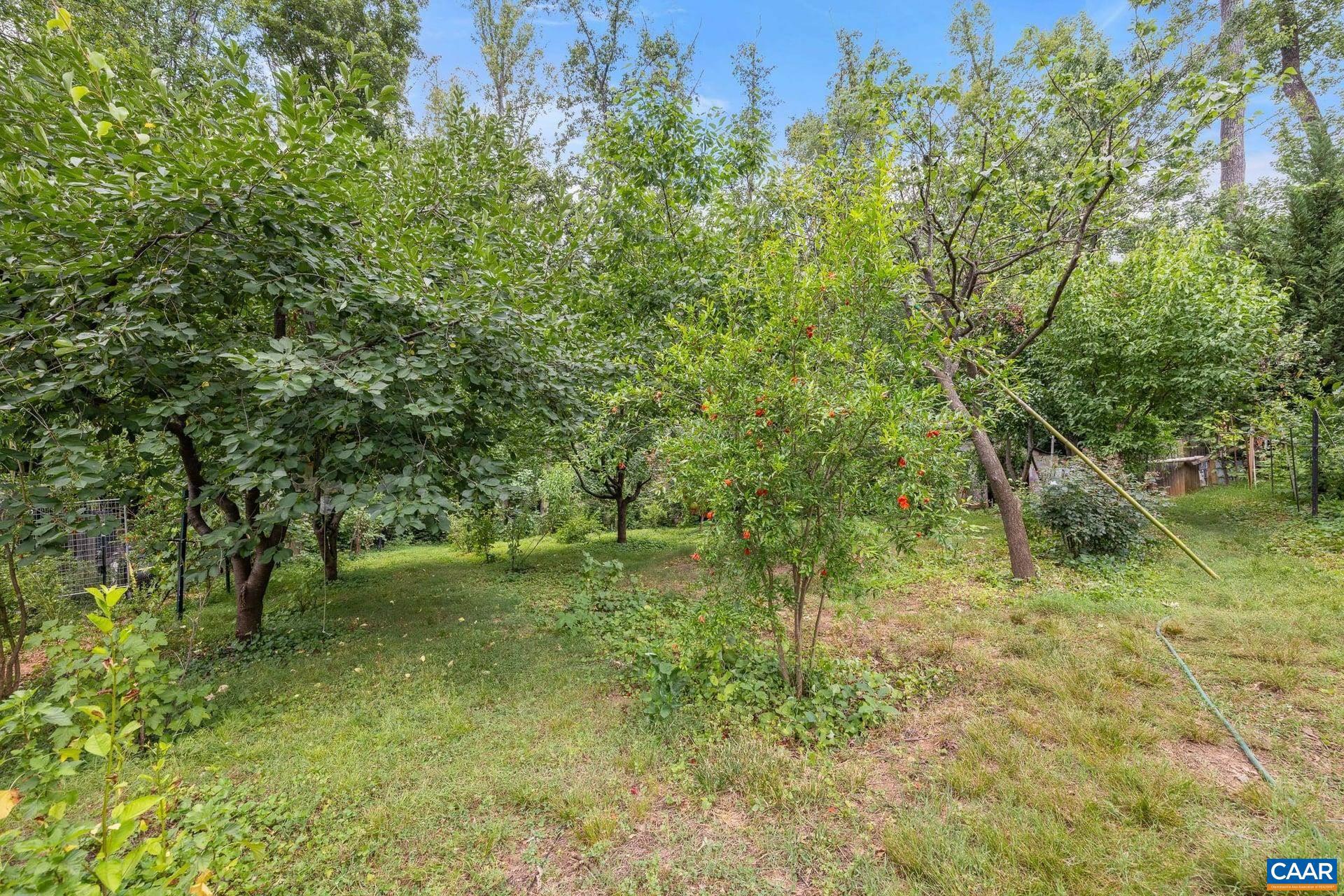2417 Angus Road Charlottesville, VA 22901 - Photo 50 of 67