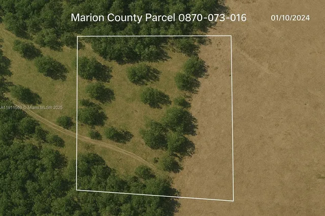 $3,500 | Marion County, Fort McCoy, FL 32134