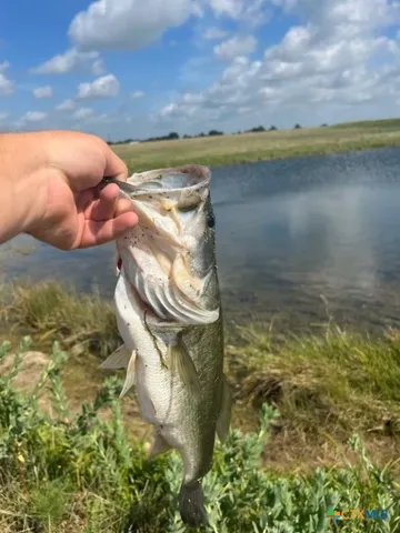 a view of a lake from a yard