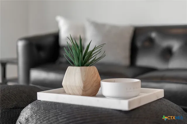a living room with furniture and a potted plant