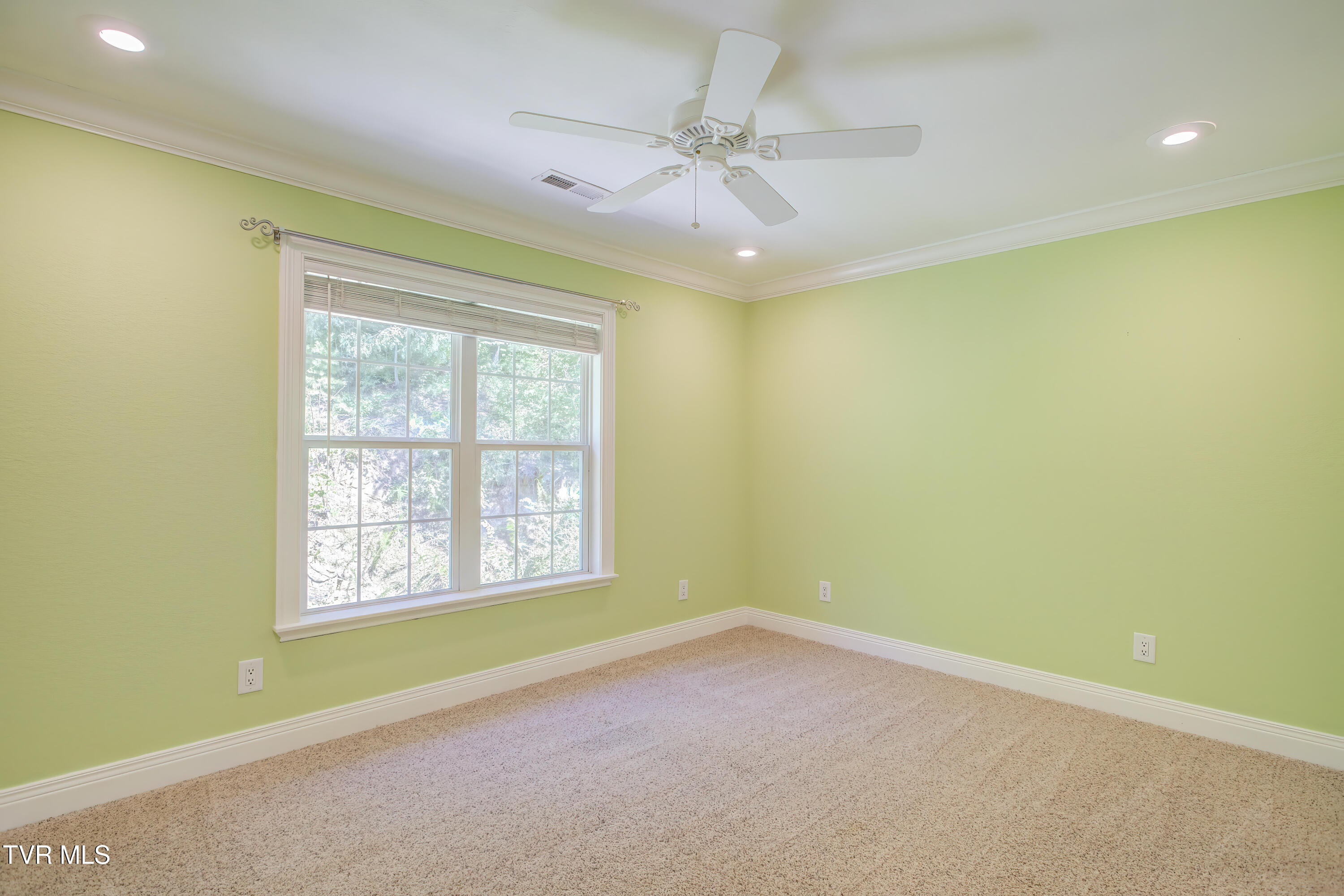 2823 Van Hill Road Greeneville, TN 37745 - Photo 57 of 156 Van Hill 3 (49)