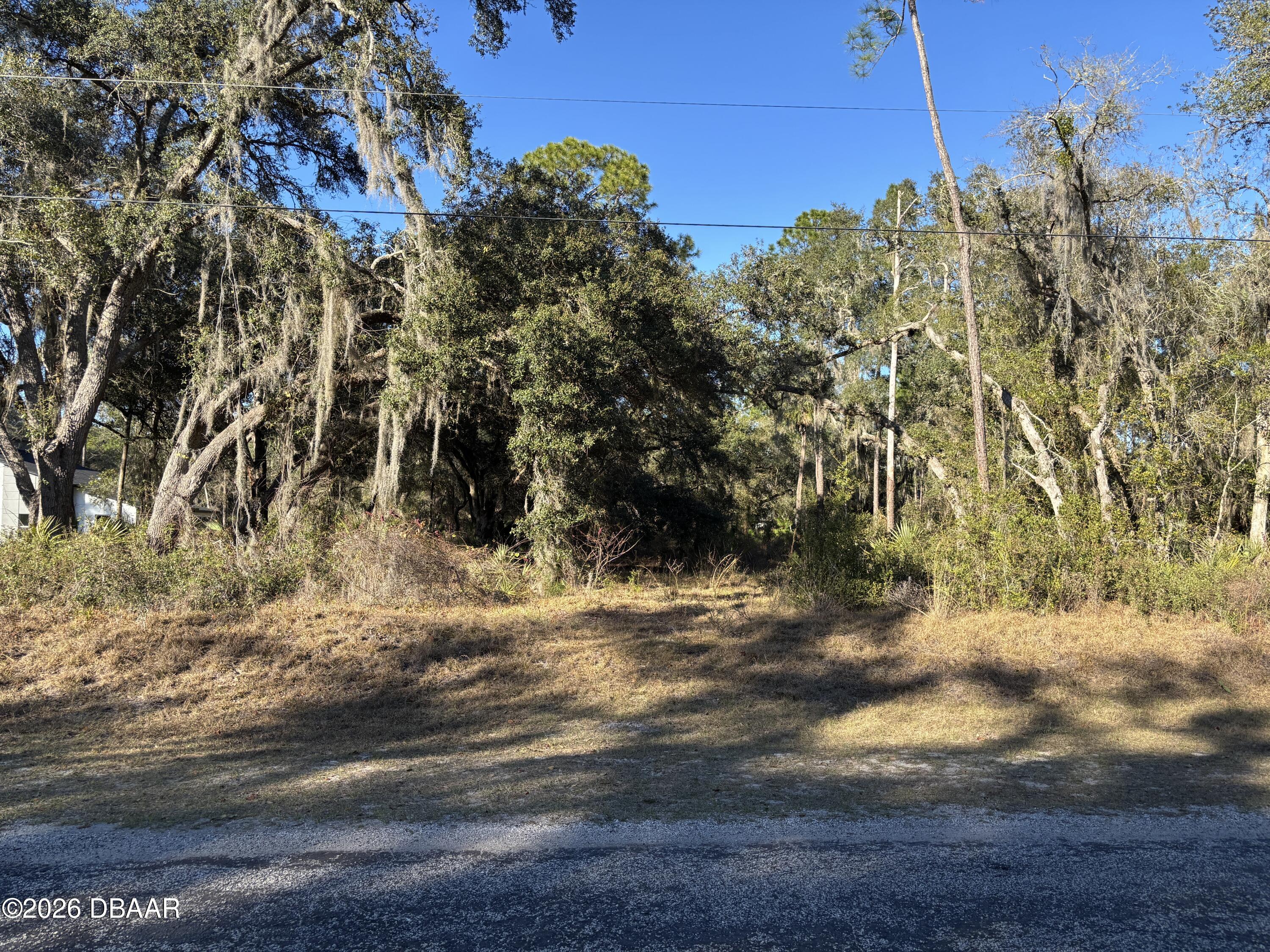 0 Saffron Avenue Eustis, FL 32736 - Photo 3 of 7 a view of a yard with wooden fence