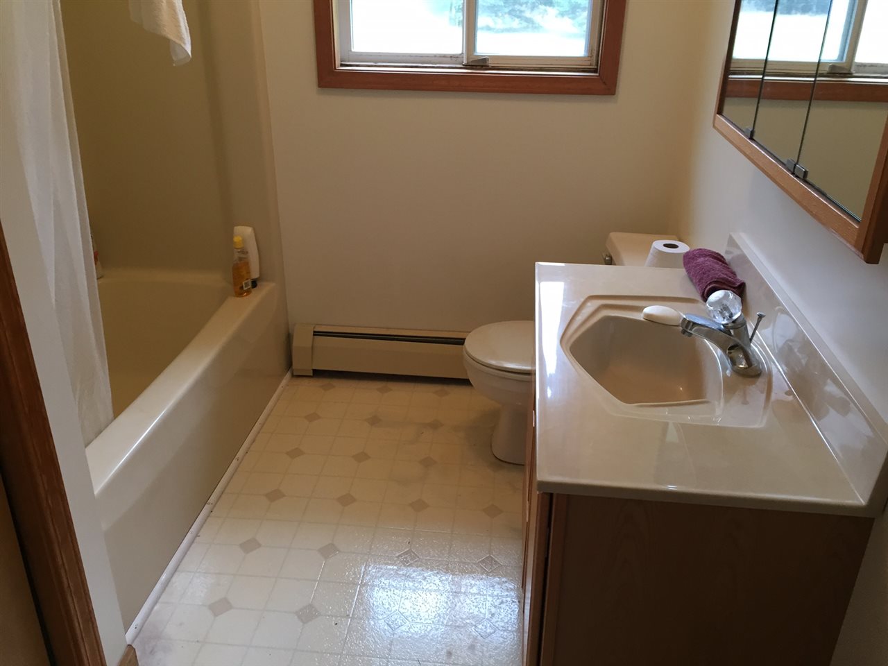 11531 East 12 Road Manton, MI 49663 - Photo 31 of 37 1825056-30.JPG