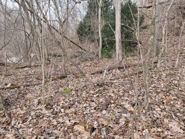 $19,900 | 4266 Miser Station Road, Louisville, TN 37777