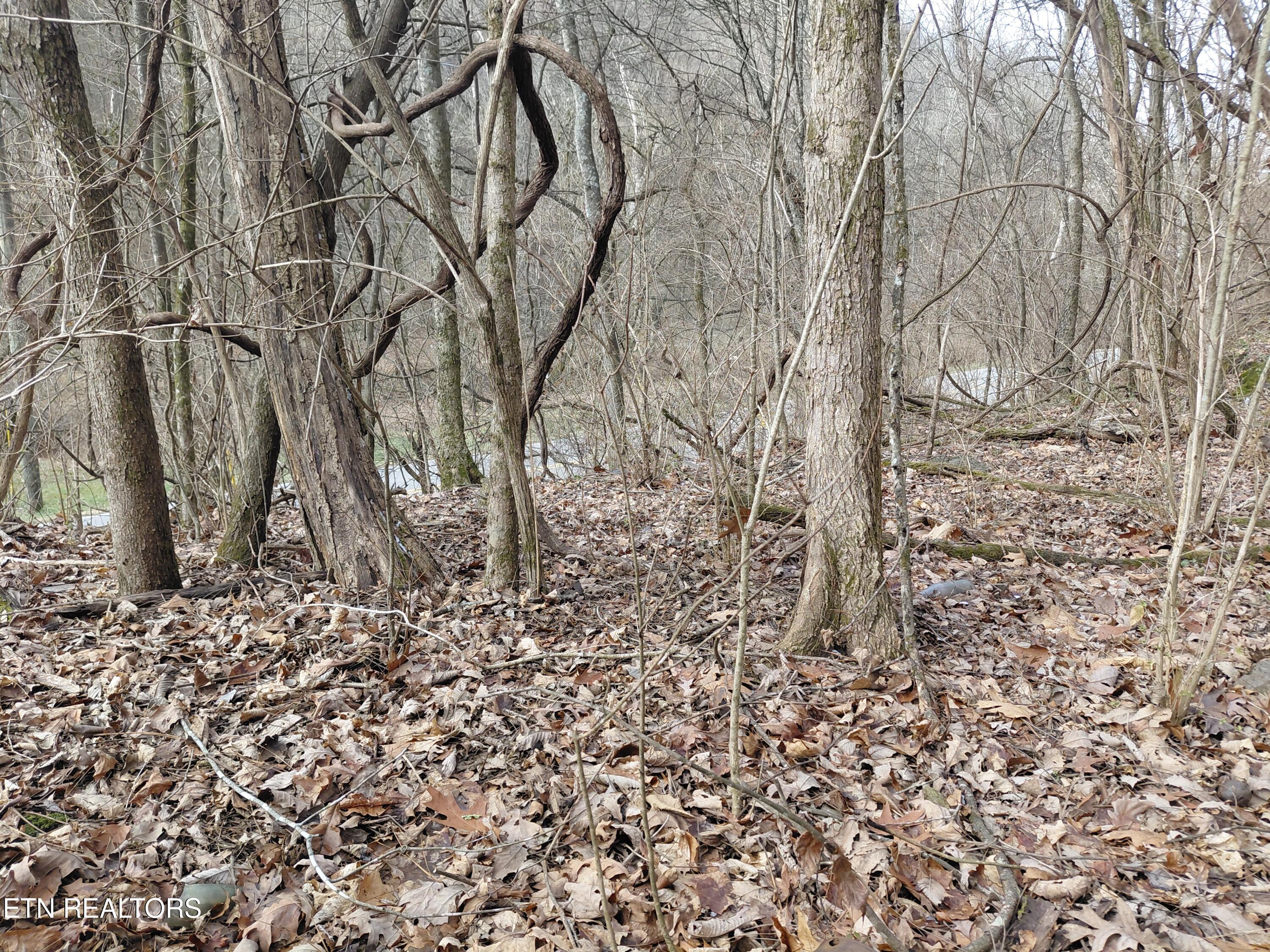 4266 Miser Station Road Louisville, TN 37777 - Photo 2 of 6 20260128_121916