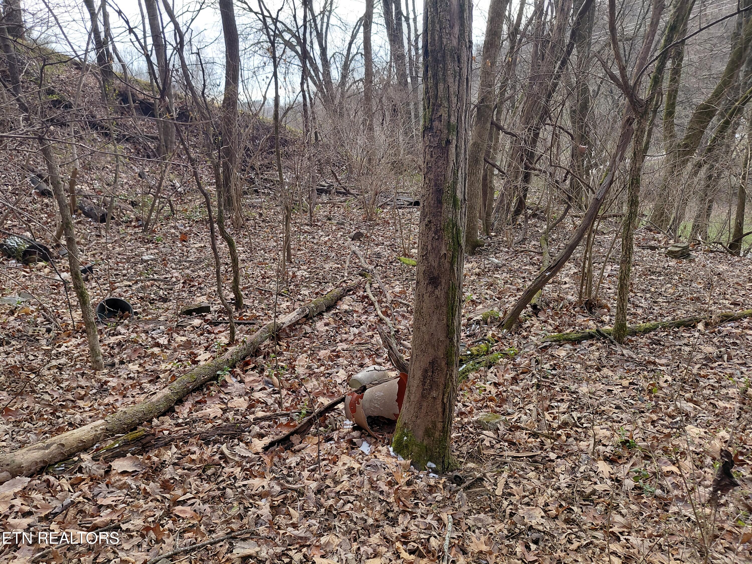 4266 Miser Station Road Louisville, TN 37777 - Photo 3 of 6 20260128_121820