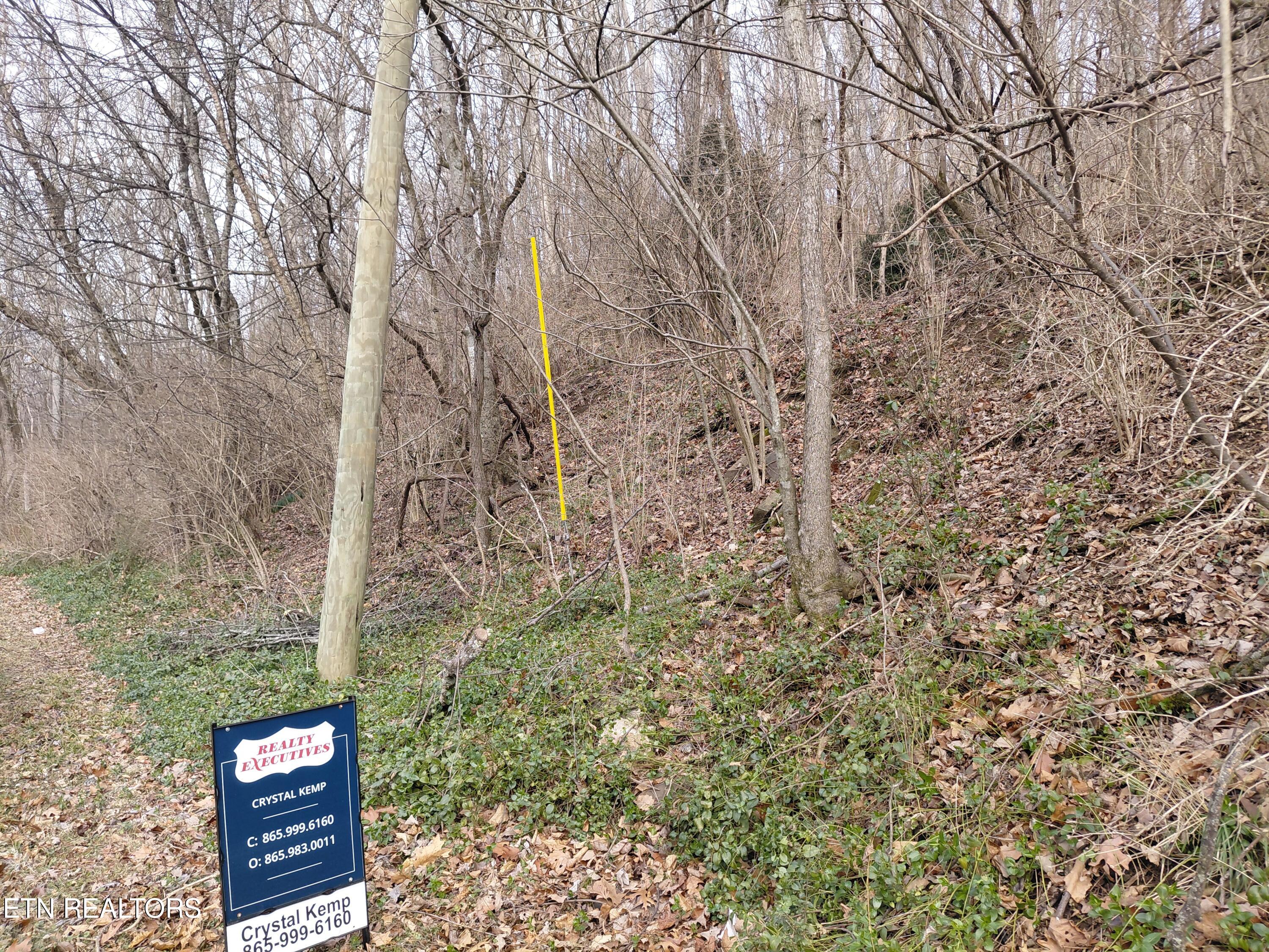 4266 Miser Station Road Louisville, TN 37777 - Photo 5 of 6 20260128_121626