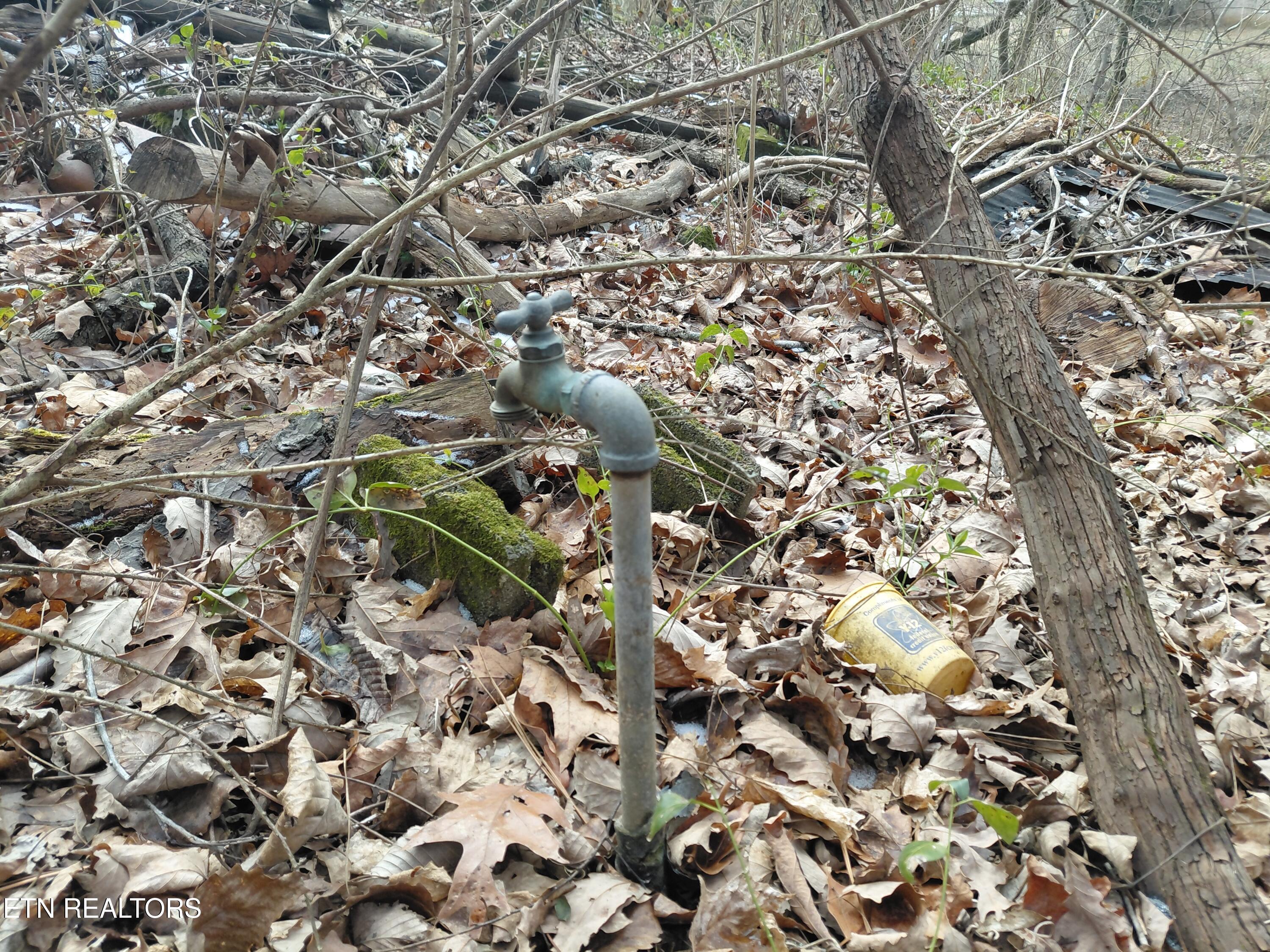 4266 Miser Station Road Louisville, TN 37777 - Photo 6 of 6 20260128_121858