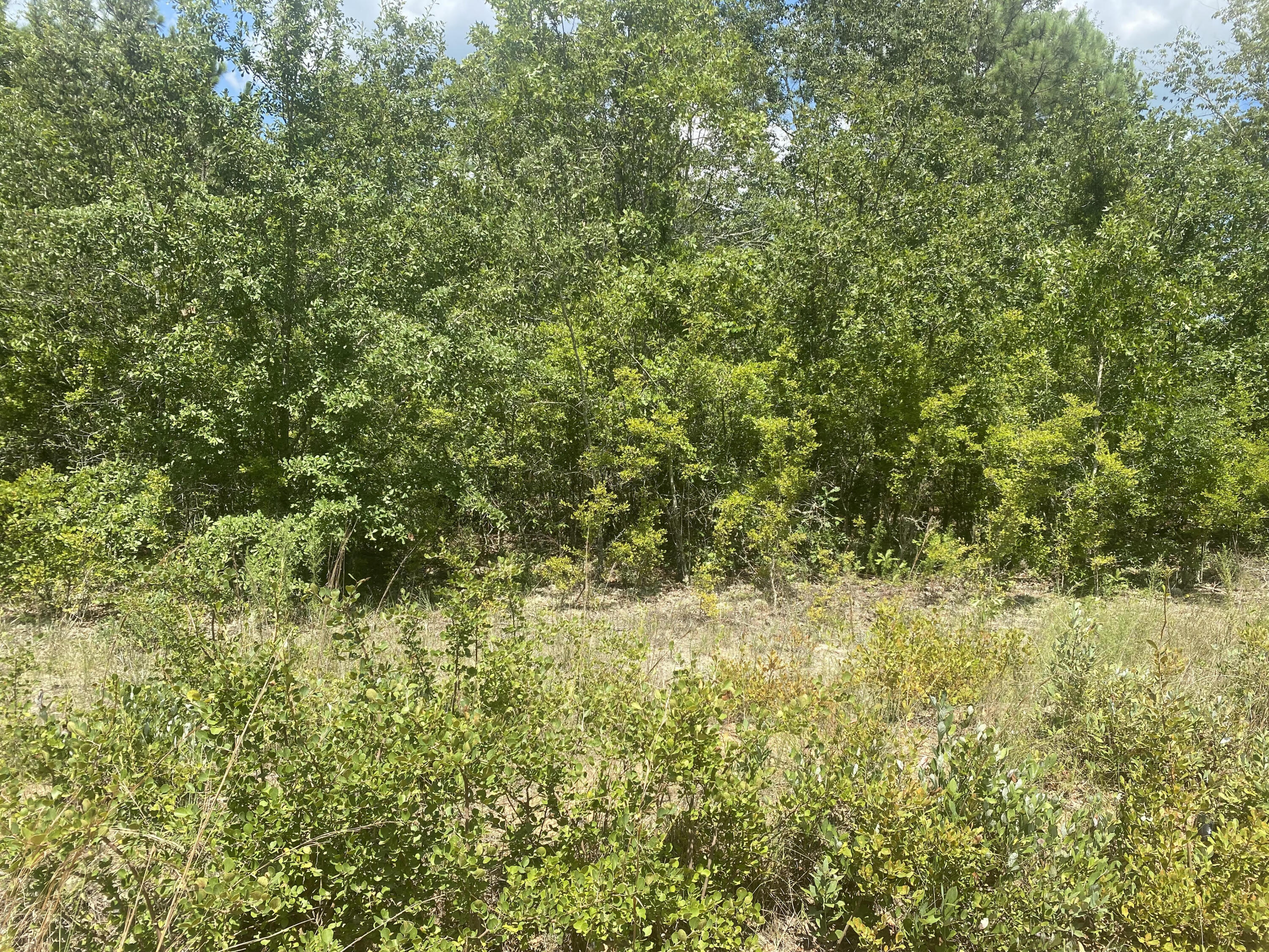 10 North Windsor Road Windsor, SC 29856 - Photo 1 of 1