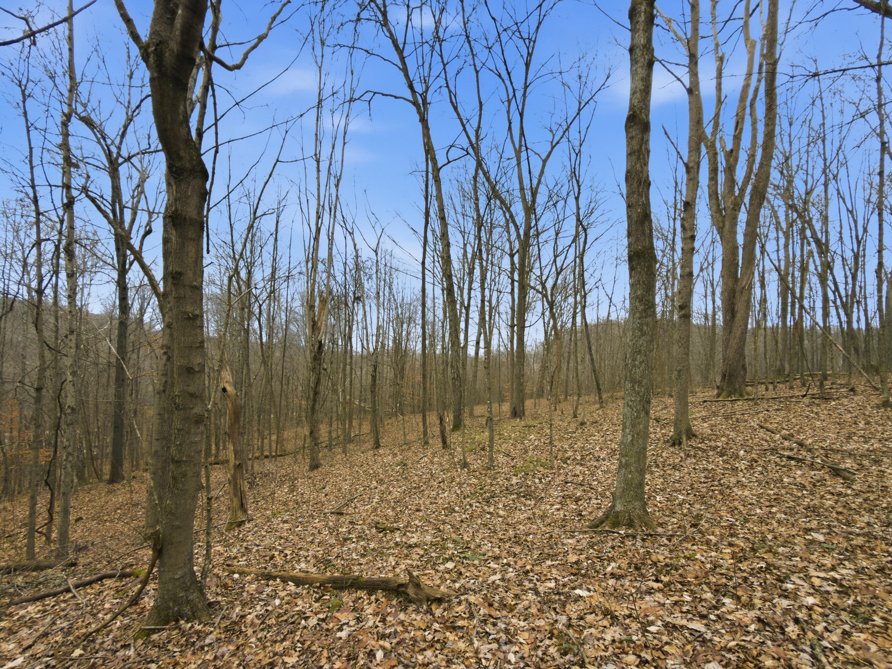 0 East Side Geer Mill Road Vinton, OH 45686 - Photo 20 of 27 IMG_4808