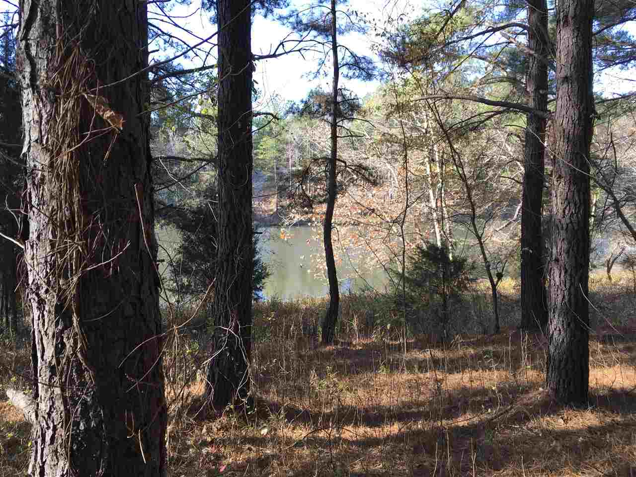 Lot 128 Catawba Road Gaffney, SC 29341 - Photo 3 of 8