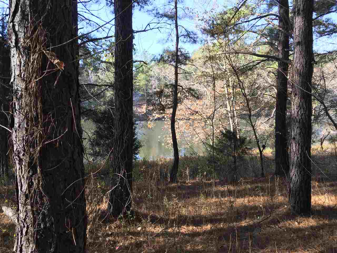 Lot 128 Catawba Road Gaffney, SC 29341 - Photo 4 of 8