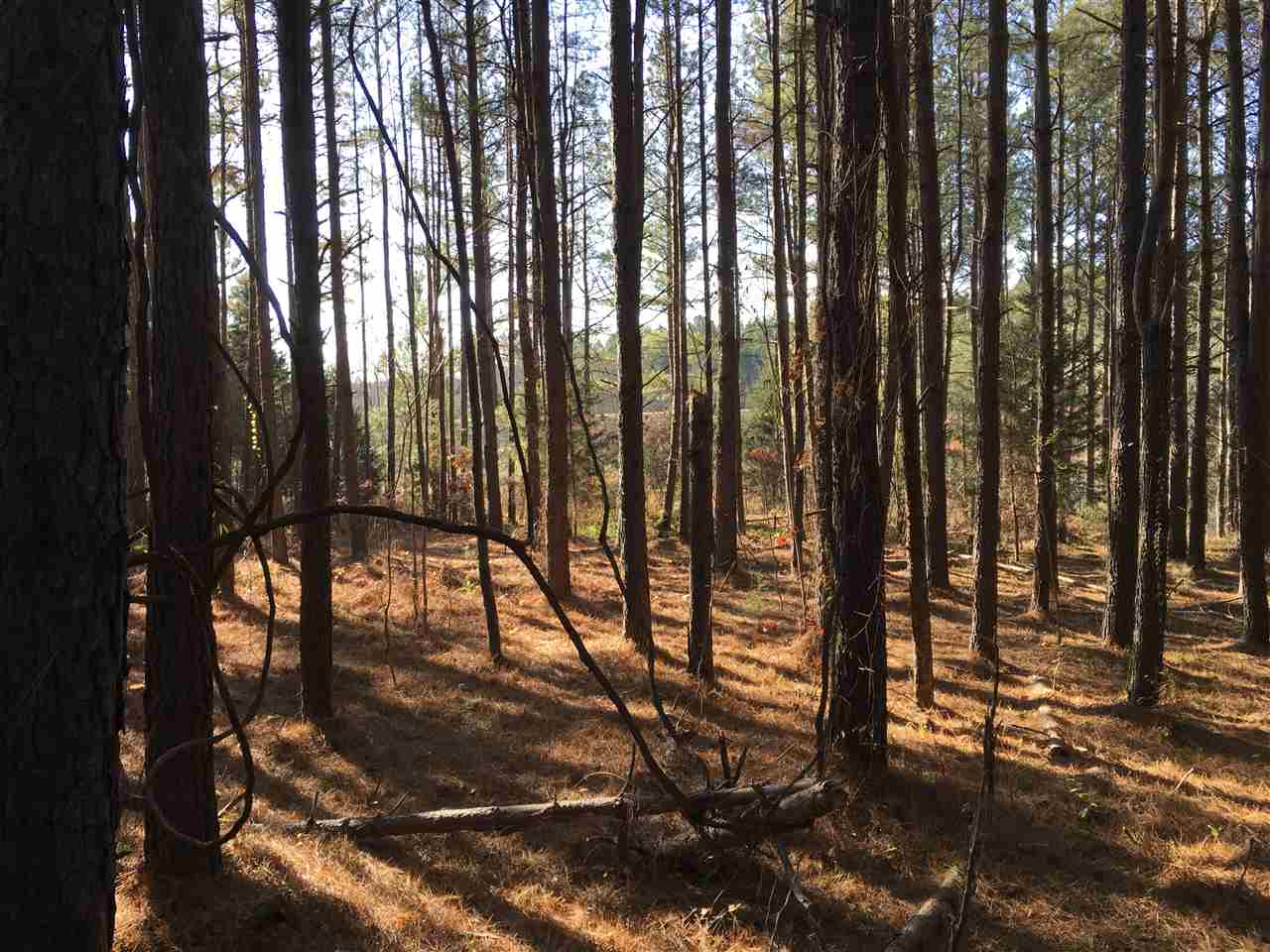 Lot 128 Catawba Road Gaffney, SC 29341 - Photo 7 of 8