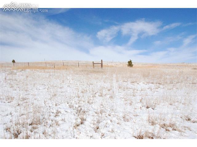12850 Hodgen Road Elbert, CO 80106 - Photo 4 of 4