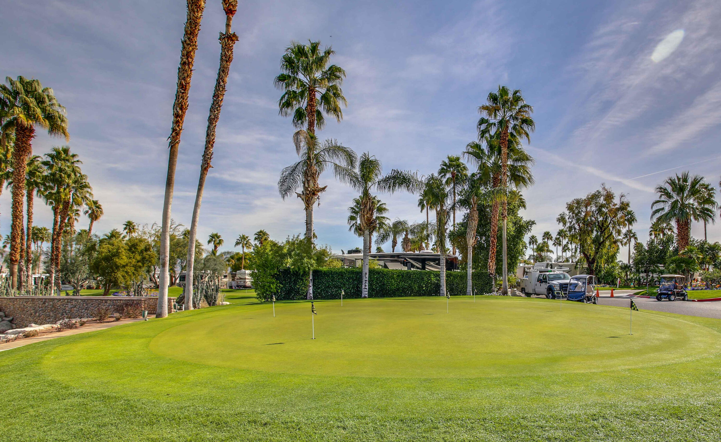 69411 Ramon Road, Unit 463 Cathedral City, CA 92234 - Photo 22 of 52 a view of swimming pool with palm trees