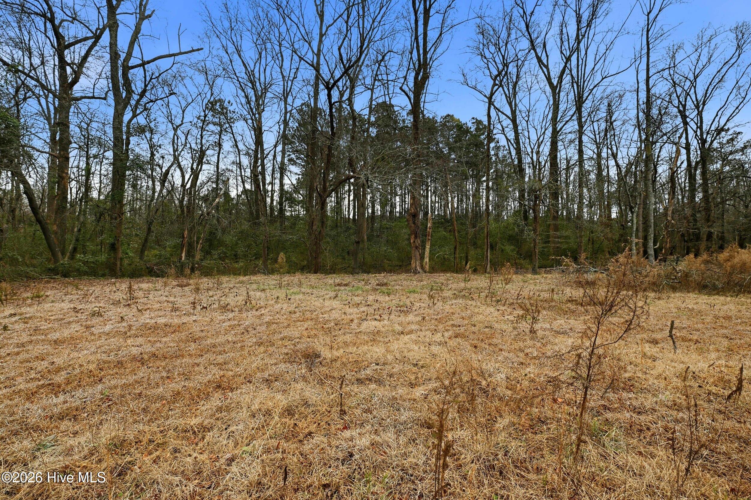 3566 Red Store Road Whiteville, NC 28472 - Photo 6 of 13 5_3566 red store rd-0005