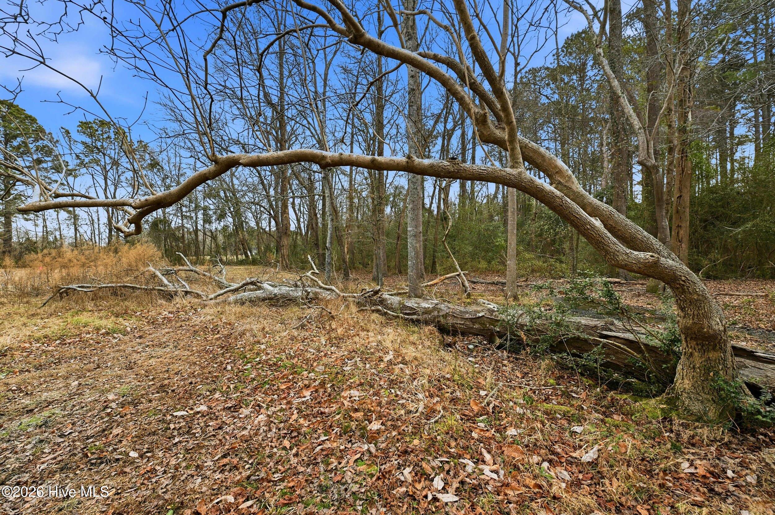 3566 Red Store Road Whiteville, NC 28472 - Photo 7 of 13 6_3566 red store rd-0006