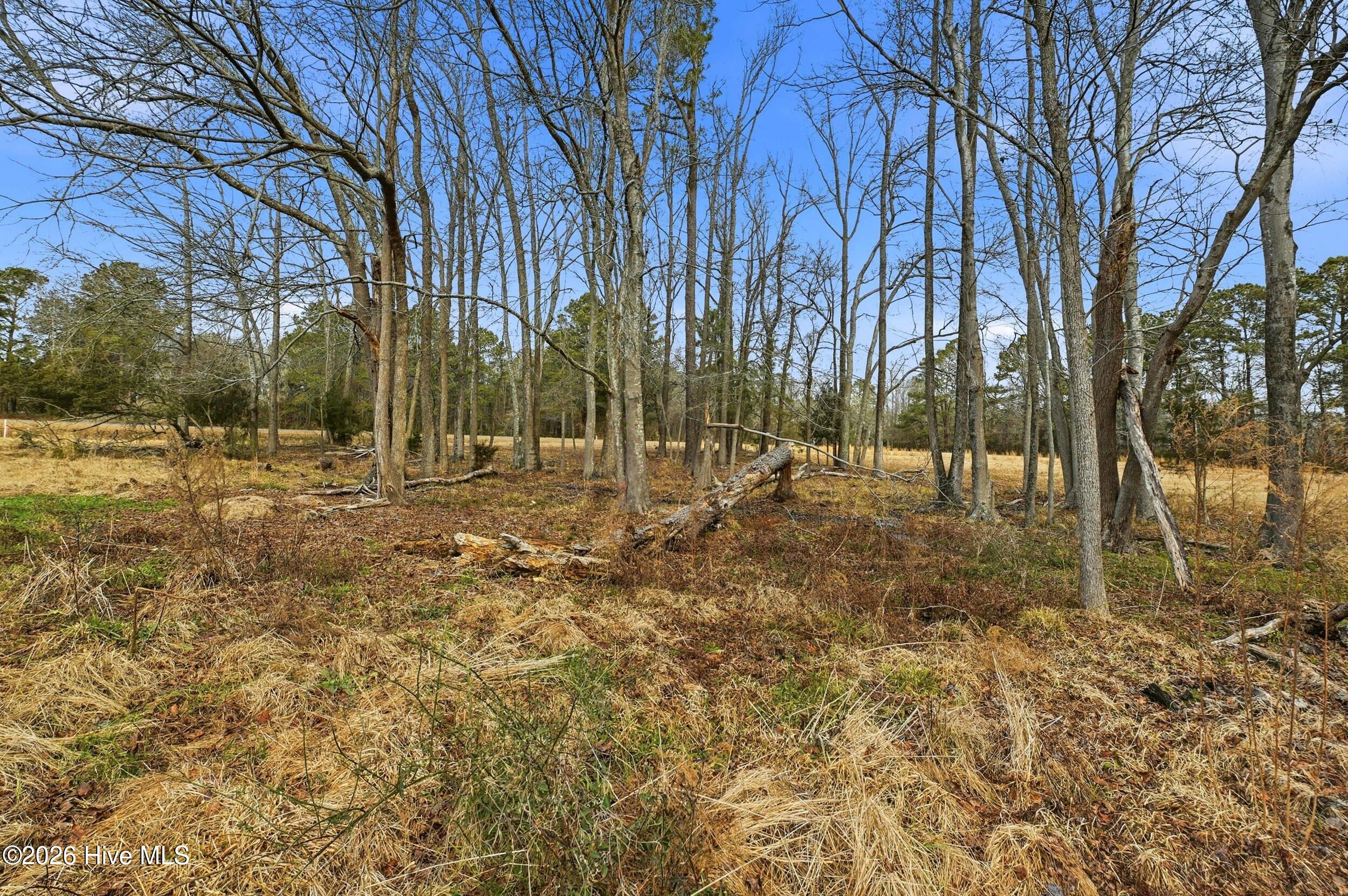 3566 Red Store Road Whiteville, NC 28472 - Photo 9 of 13 8_3566 red store rd-0008