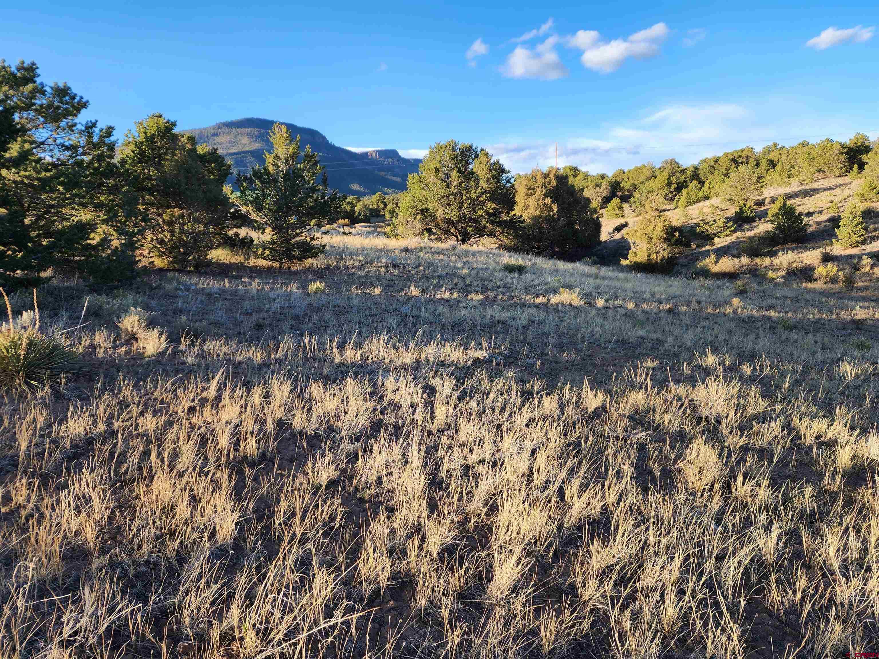 512 Kit Carson Road South Fork, CO 81154 - Photo 1 of 7 a view of a lake with a building in the background