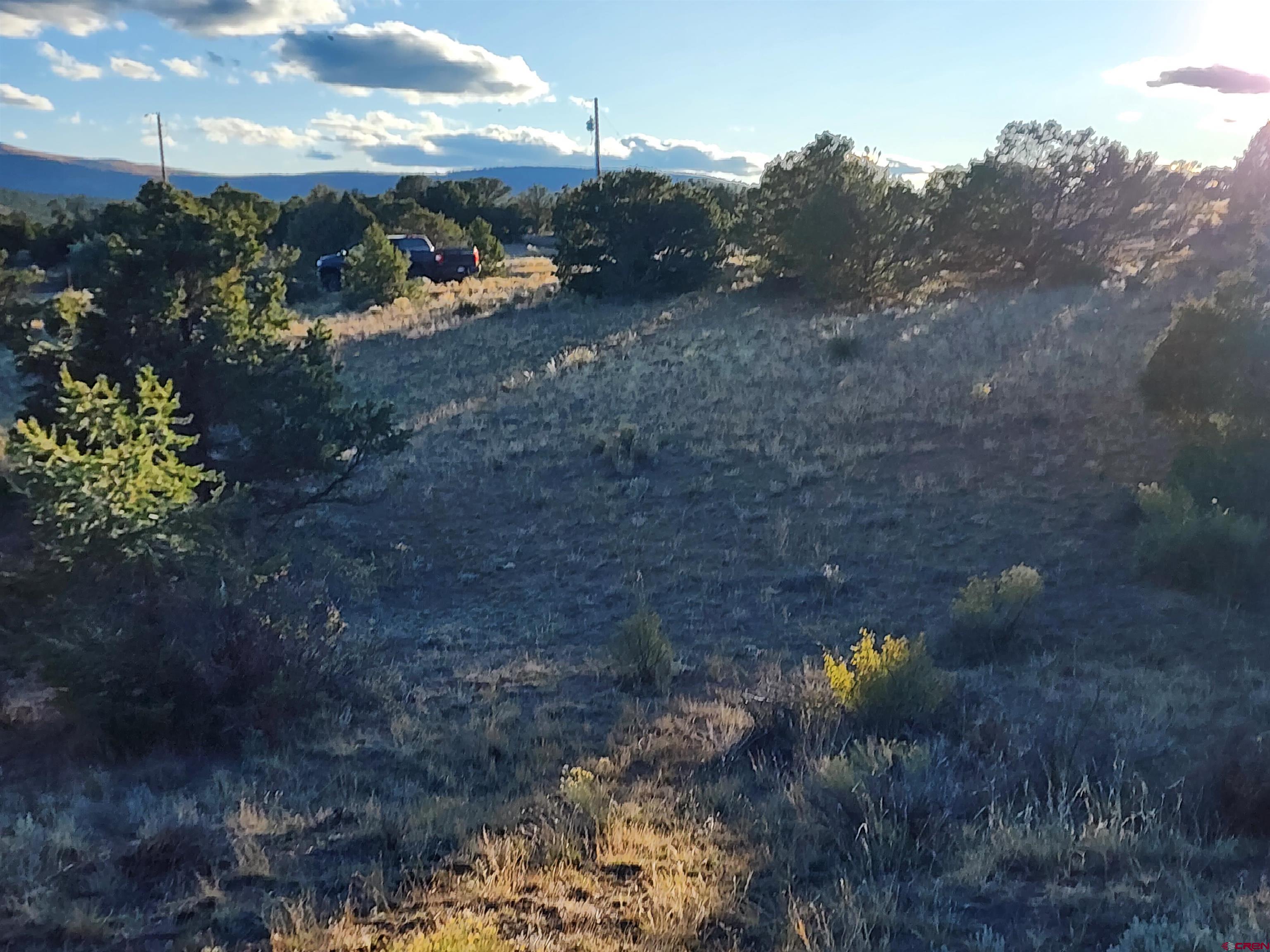512 Kit Carson Road South Fork, CO 81154 - Photo 5 of 7 a view of a dry yard