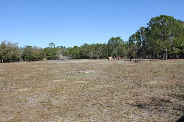 a view of a field with trees in the background