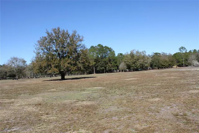 a view of dirt field with trees in background