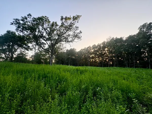 $61,000 | 0 Lucky Road, Seymour, MO 65746