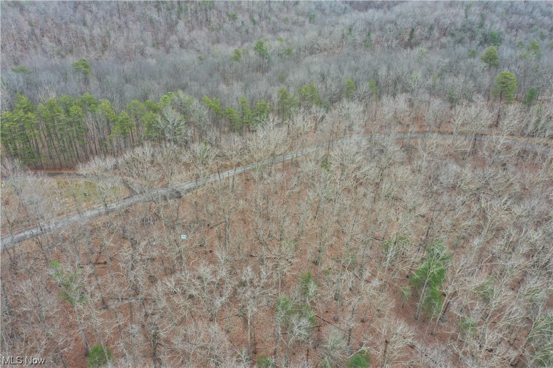 1 Norman Ridge Road Big Bend, WV 26136 - Photo 5 of 20 Gallery Image 5