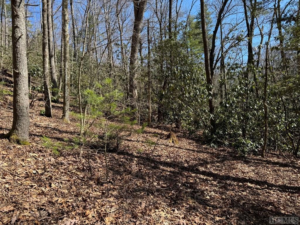 Tbd Clear Creek Road Highlands, NC 28741 - Photo 4 of 5 Gallery Image 4