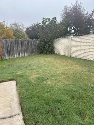 a view of a backyard