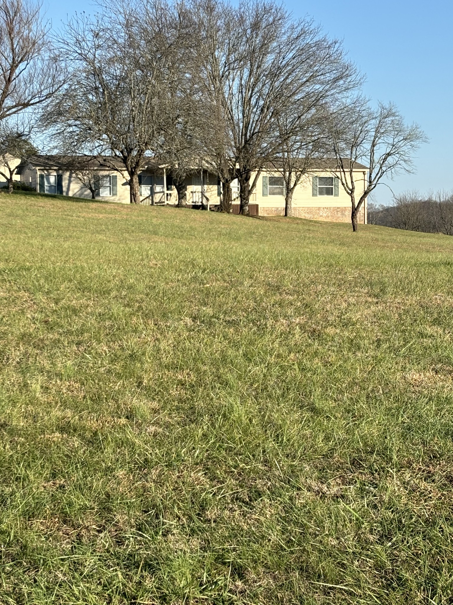 2475 Canoe Branch Road Lebanon, TN 37087 - Photo 1 of 25 a view of a trees in a yard
