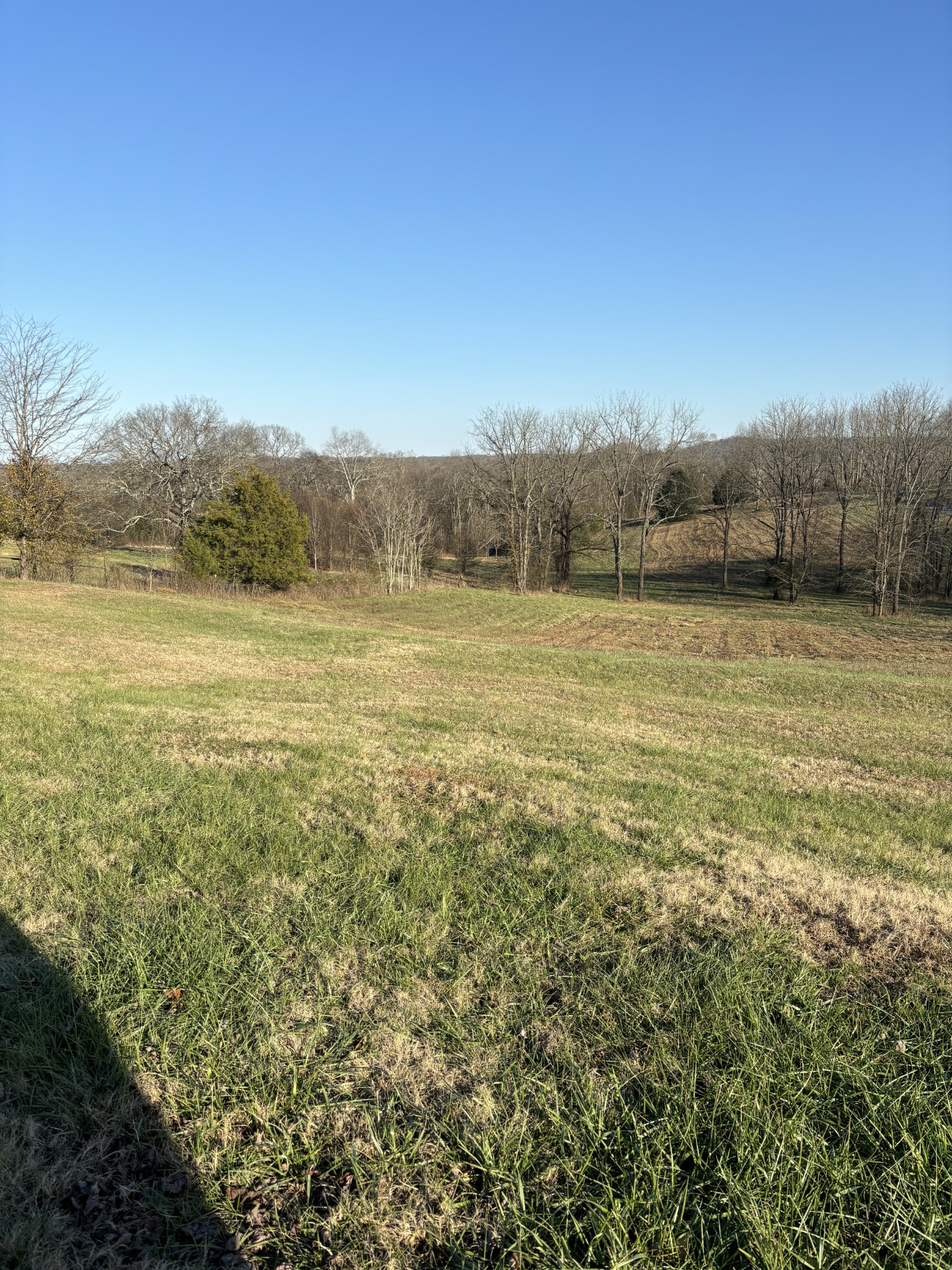 2475 Canoe Branch Road Lebanon, TN 37087 - Photo 4 of 25 a view of an ocean and beach