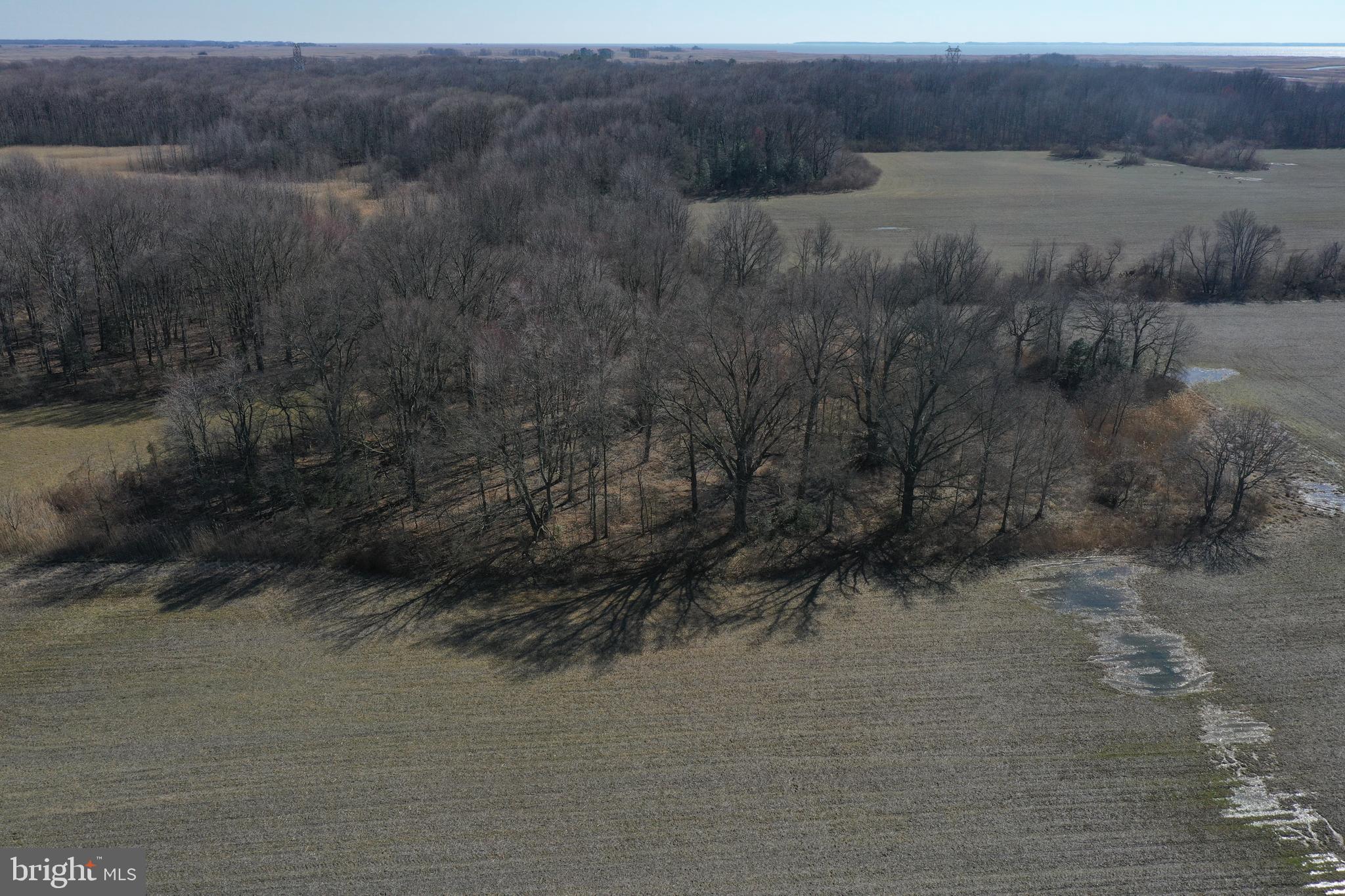 325 Alloway Creek Neck Road Salem, NJ 08079 - Photo 11 of 22