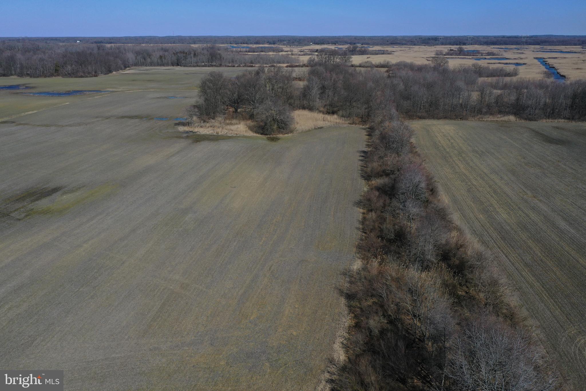 325 Alloway Creek Neck Road Salem, NJ 08079 - Photo 12 of 22