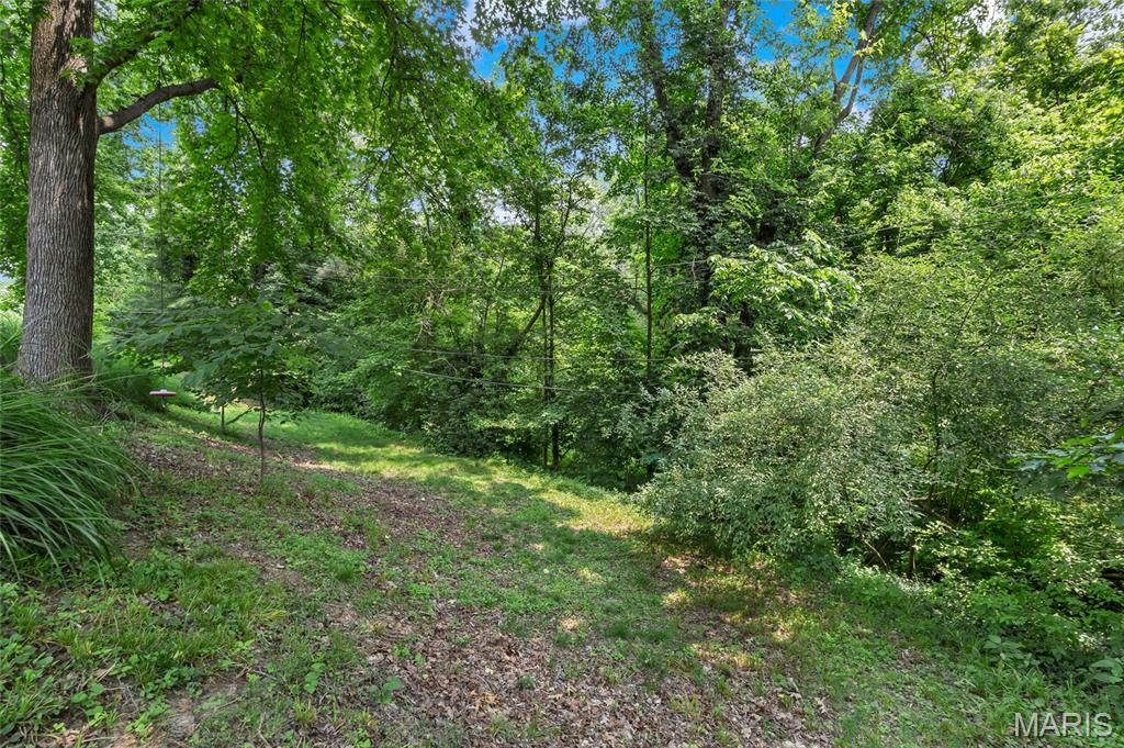 38 Ridgepoint Drive Chesterfield, MO 63017 - Photo 57 of 67