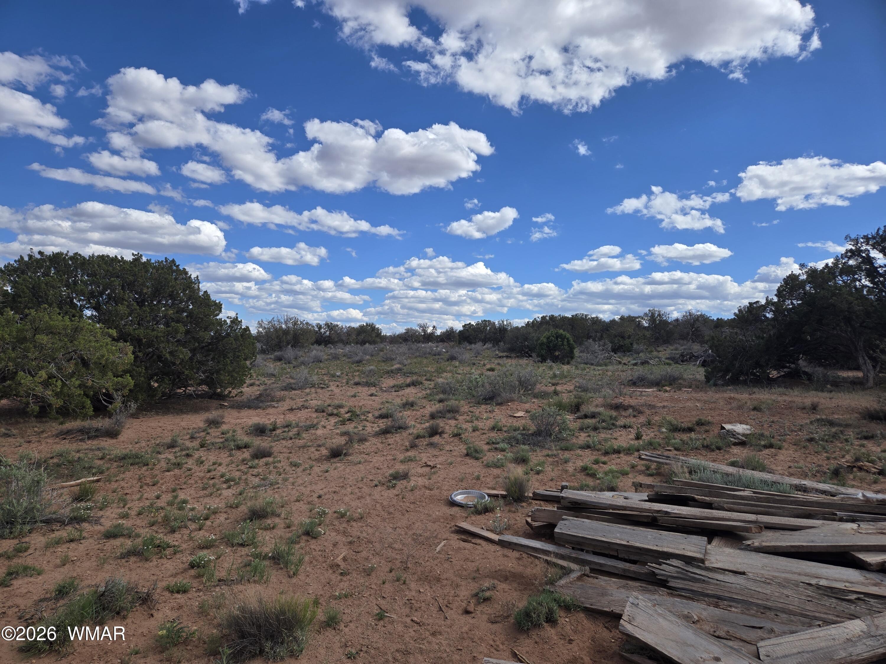 3977 Aztec Road Snowflake, AZ 85937 - Photo 13 of 13 a view of a backyard of a house