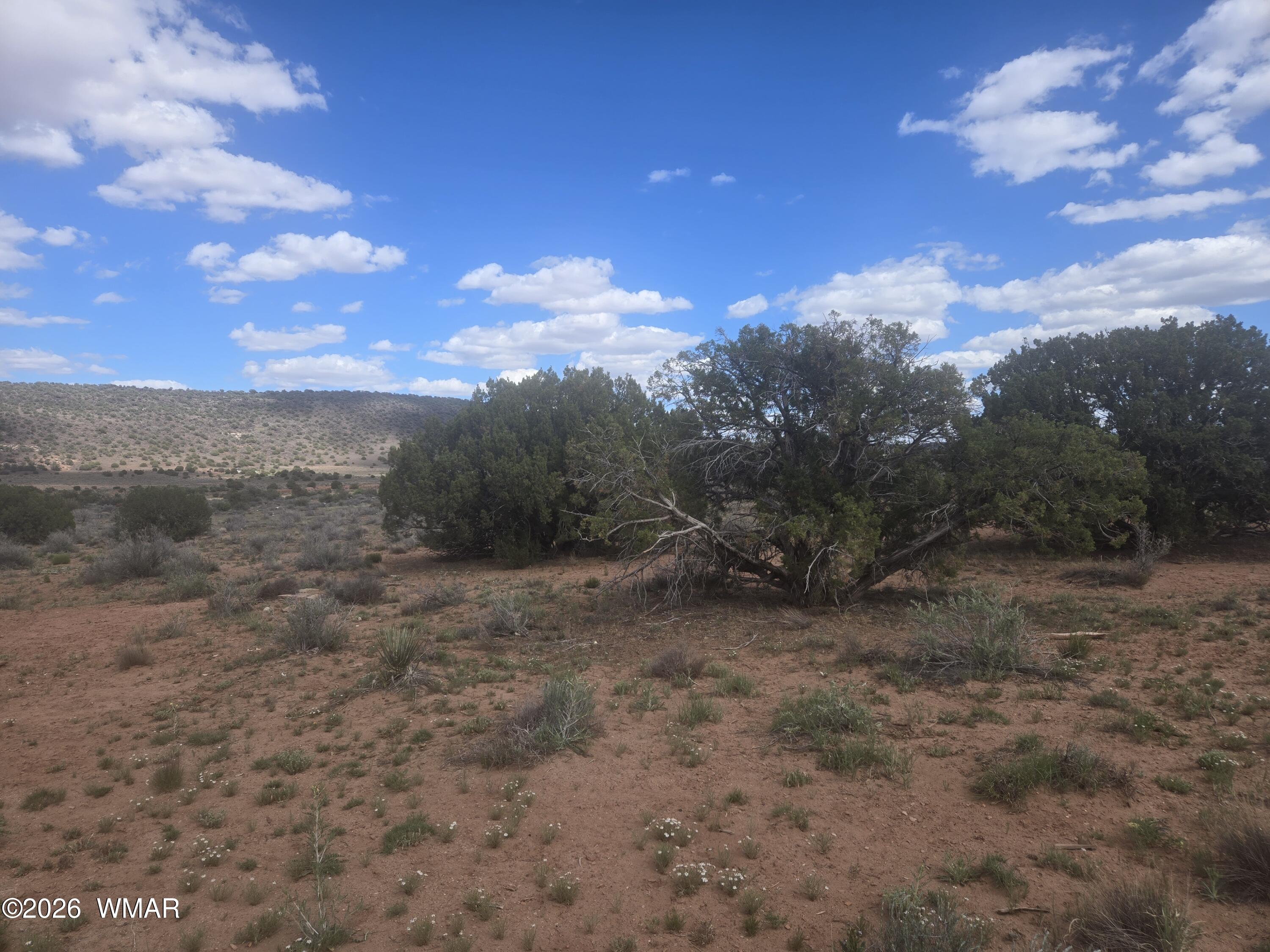 3977 Aztec Road Snowflake, AZ 85937 - Photo 3 of 13 a view of a field