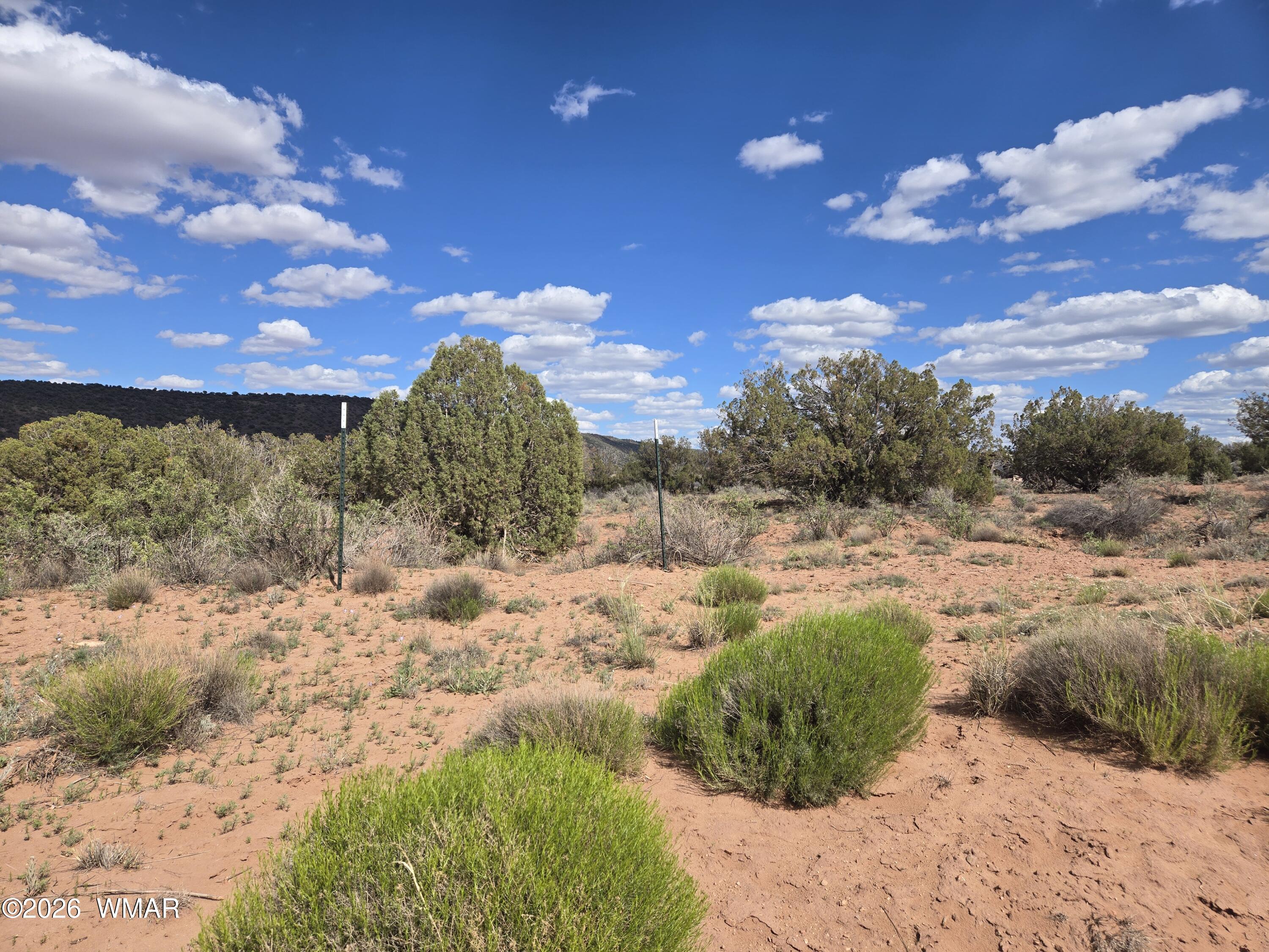 3977 Aztec Road Snowflake, AZ 85937 - Photo 5 of 13 a view of a yard with snow on the road