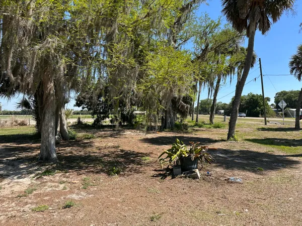 a view of a park with bench and trees