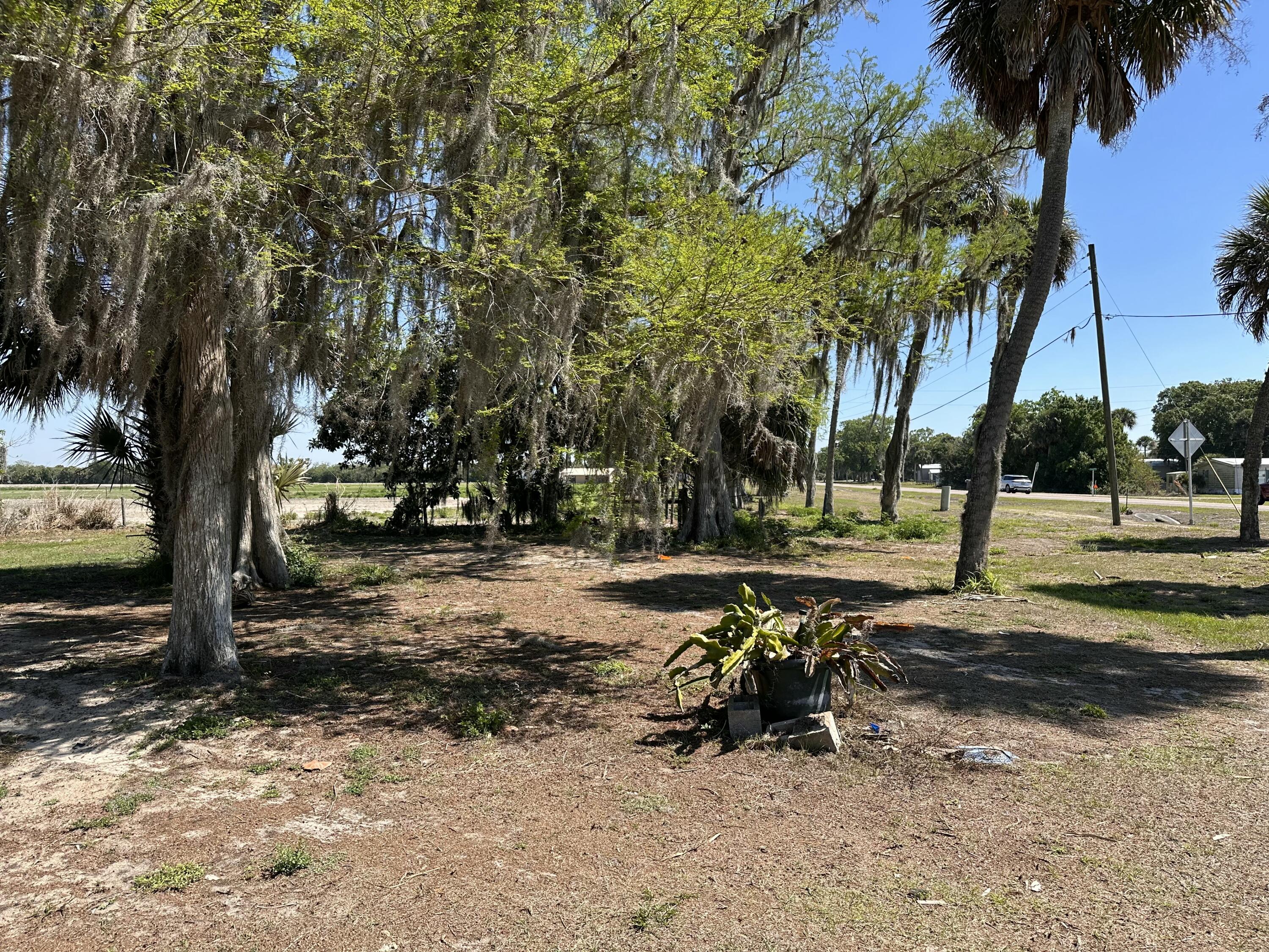 14455 Highway 78 Okeechobee, FL 34974 - Photo 10 of 14 a view of a park with bench and trees