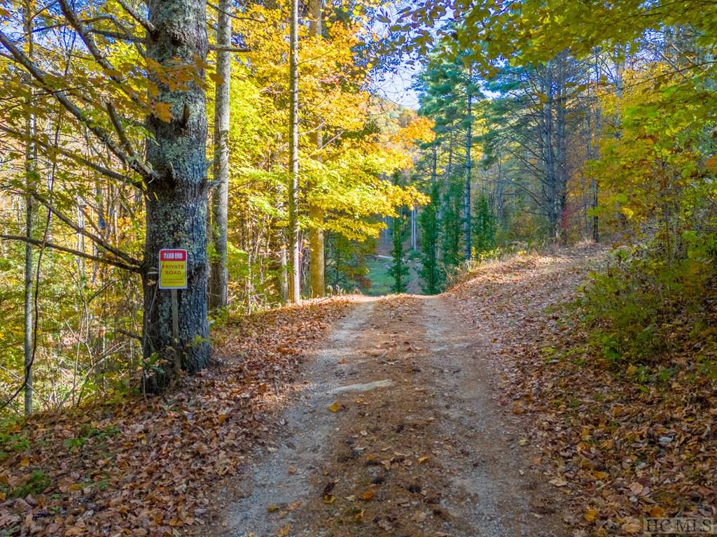 525 Comanche Road Cullowhee, NC 28723 - Photo 2 of 31 Gallery Image 2