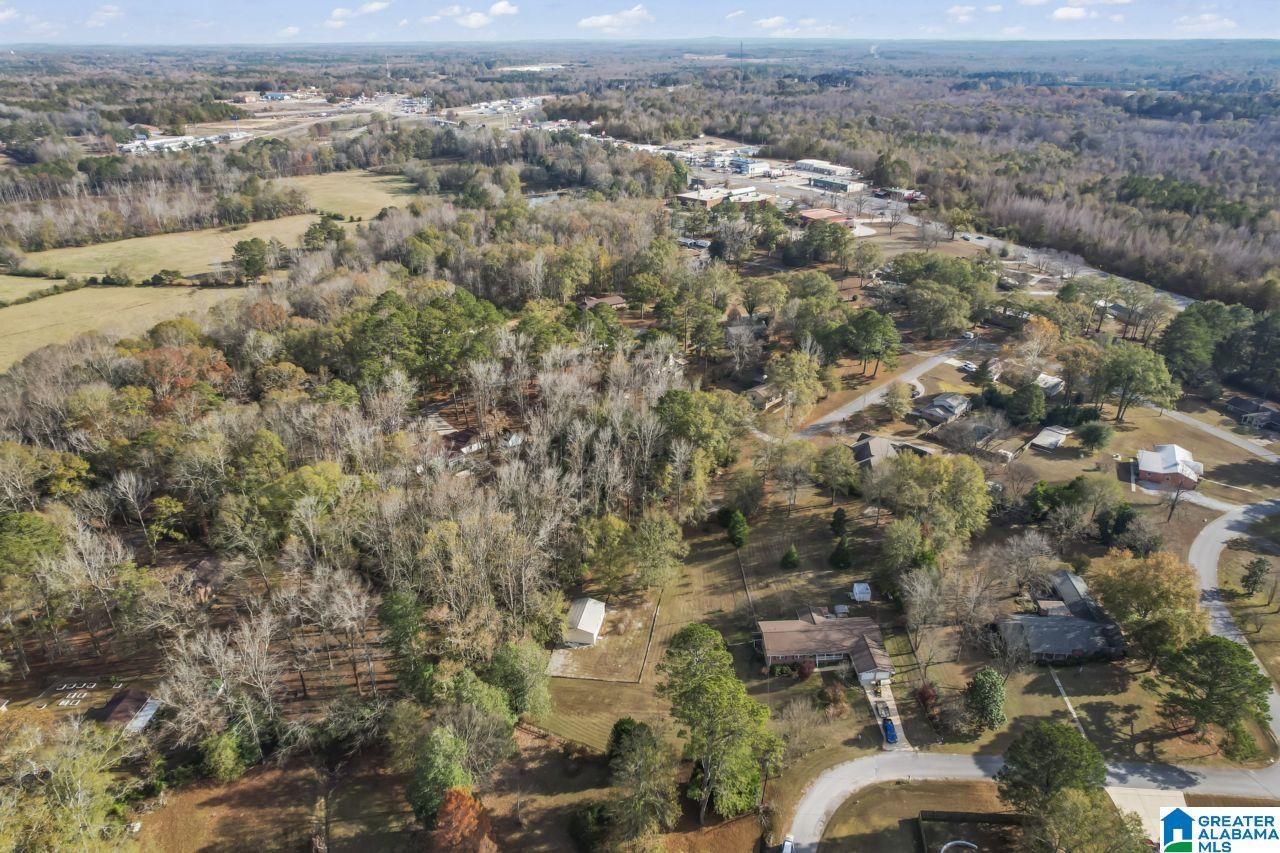 128 Crestview Drive Clanton, AL 35045 - Photo 52 of 54