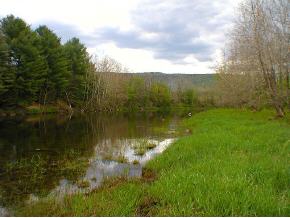40 Upper River Road Newfane, VT 05345 - Photo 4 of 9