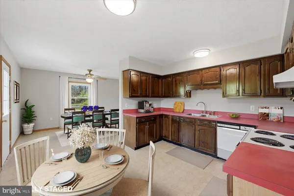 a large tree with wooden fence