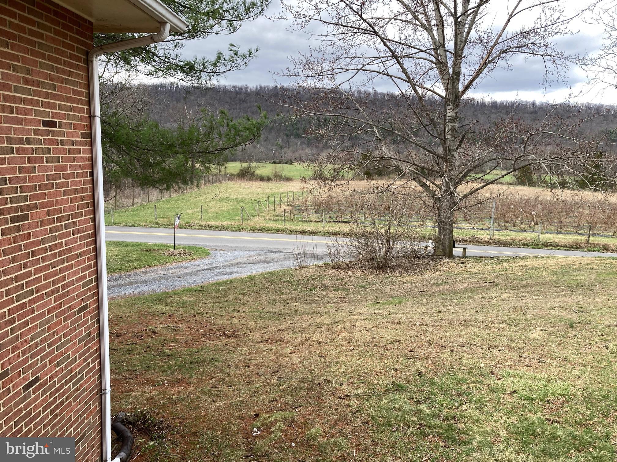 2863 Christian Church Road High View, WV 26808 - Photo 45 of 106 view from the front of the house