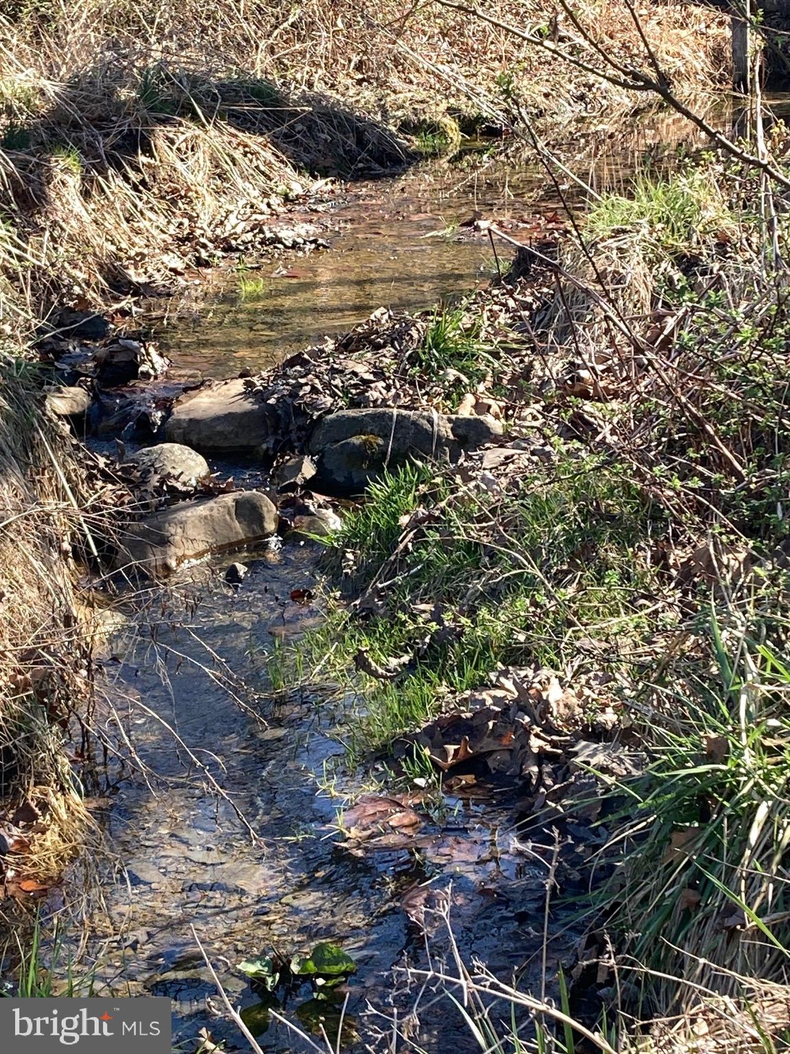 2863 Christian Church Road High View, WV 26808 - Photo 95 of 106 Small stream