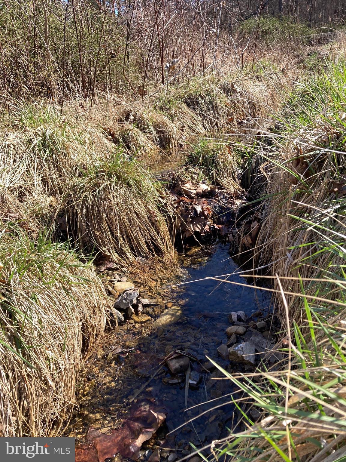 2863 Christian Church Road High View, WV 26808 - Photo 96 of 106 Small stream
