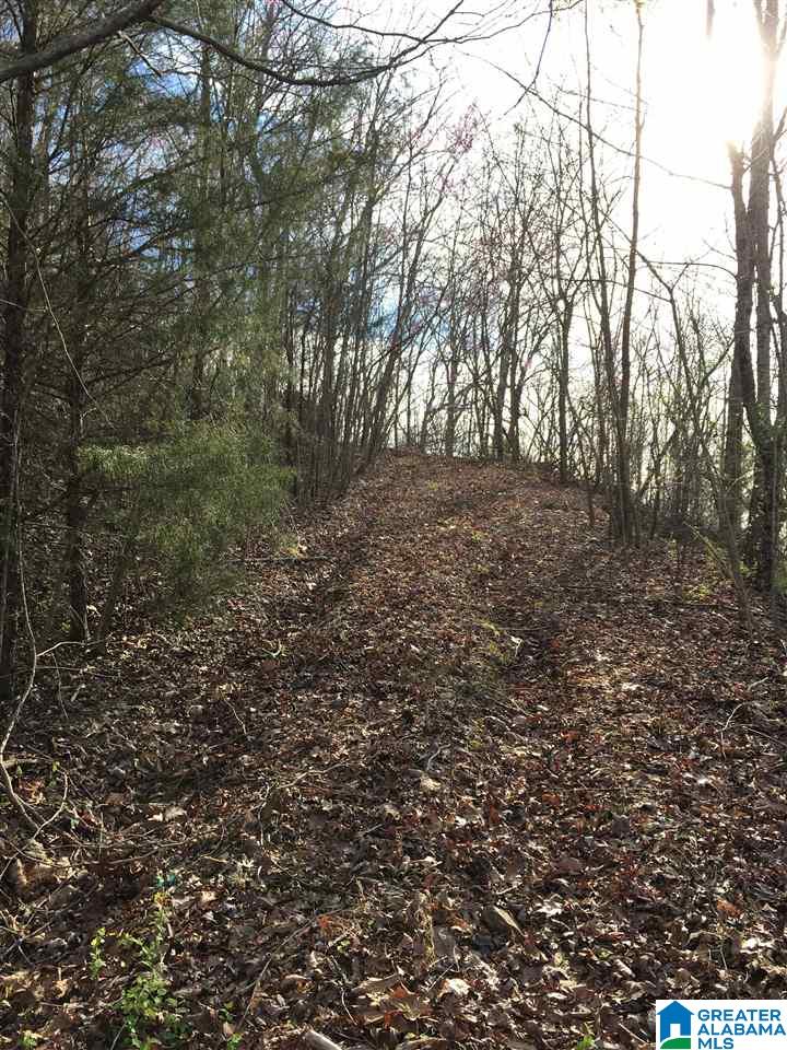 230 County Line Road Oxford, AL 36203 - Photo 22 of 50