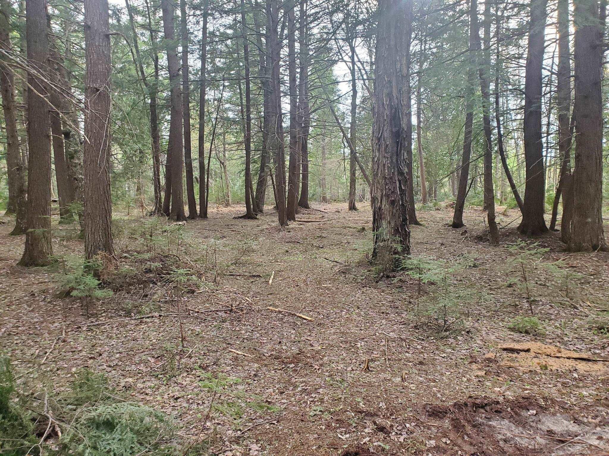 Old Plank Road Wetmore, MI 49895 - Photo 6 of 13