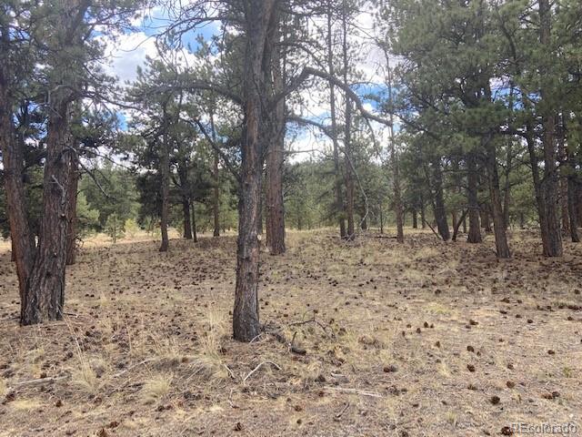 317 Jefferson Road Hartsel, CO 80449 - Photo 2 of 6 Gallery Image 2